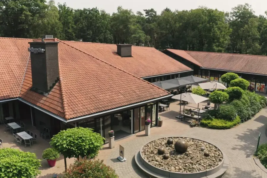 Ruggestee bovenaanzicht