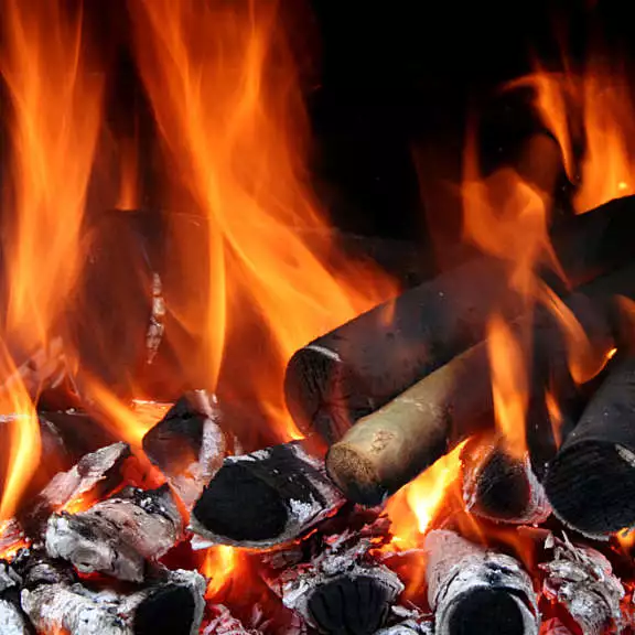 Barbeque